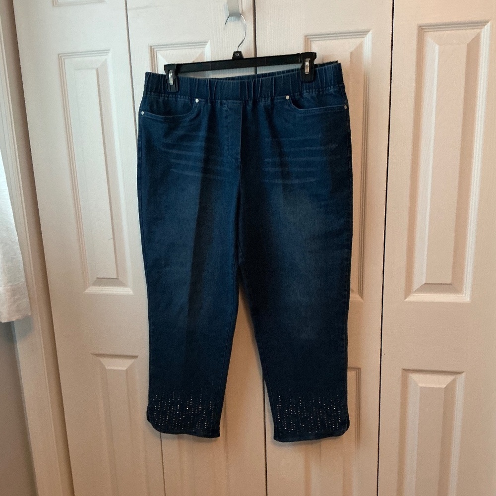 Alfred Dunner Scottsdale Women's Dazzling Hem Faux Fly Pant